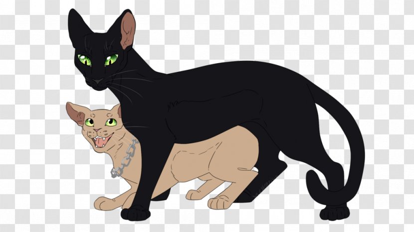 Kitten Whiskers Domestic Short-haired Cat DeviantArt - Small To Medium Sized Cats - Chained Creepy Wolf Drawings Transparent PNG