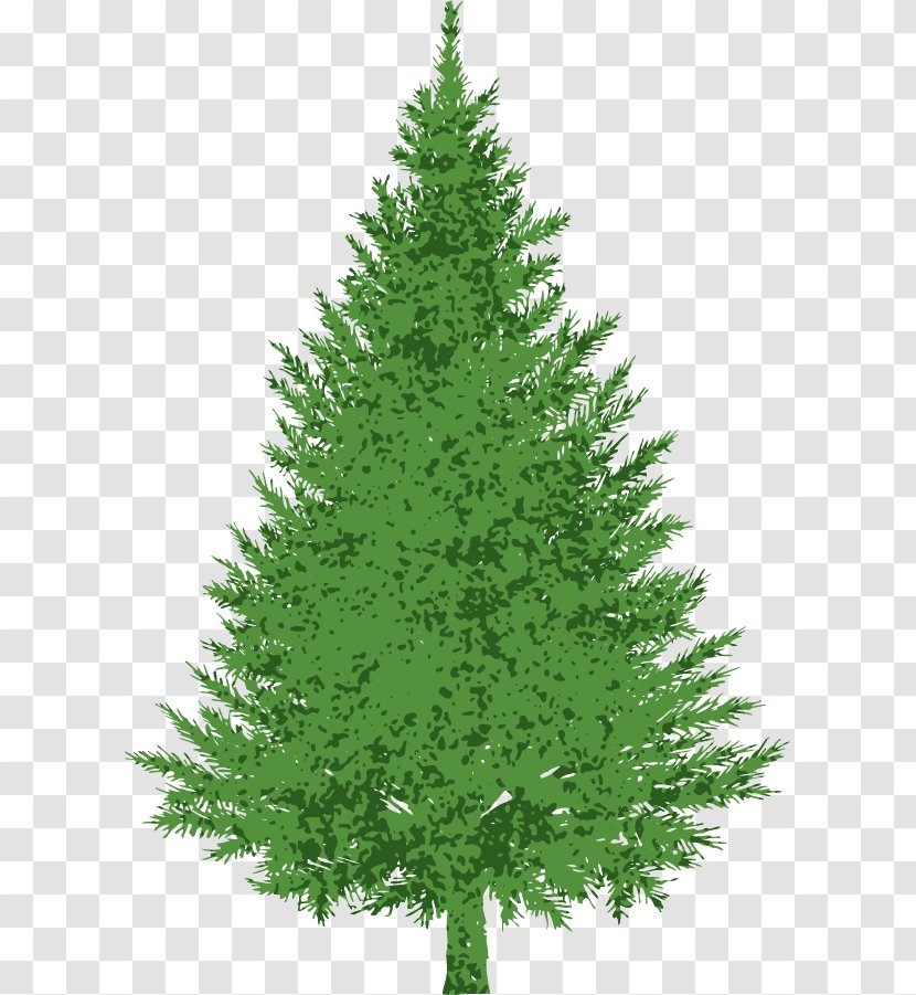 Evergreen Pine Royalty-free Clip Art - Larch - Hmmmm Cliparts Transparent PNG