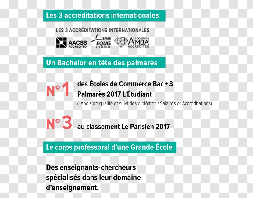 Toulouse Business School Casablanca Organization Management - Area - Bachelor Transparent PNG