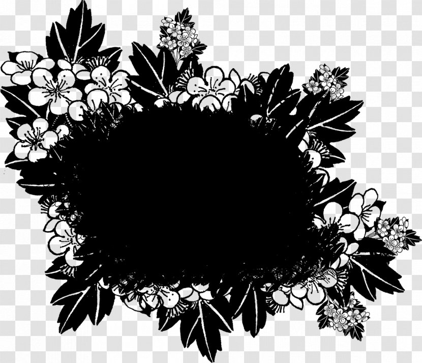 Flower Monochrome Photography Floral Design Visual Arts - Flora - Conch Transparent PNG