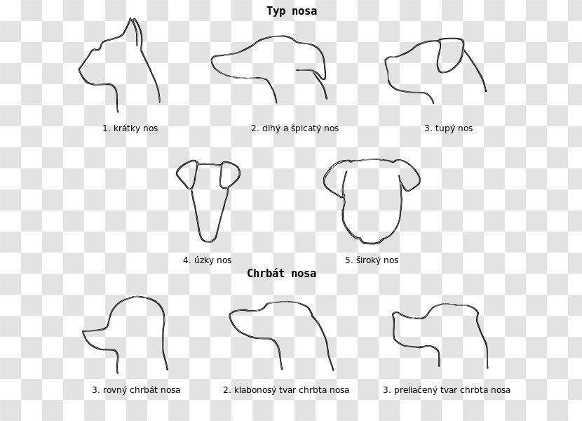 Ear Document Mammal Drawing White - Cartoon Transparent PNG
