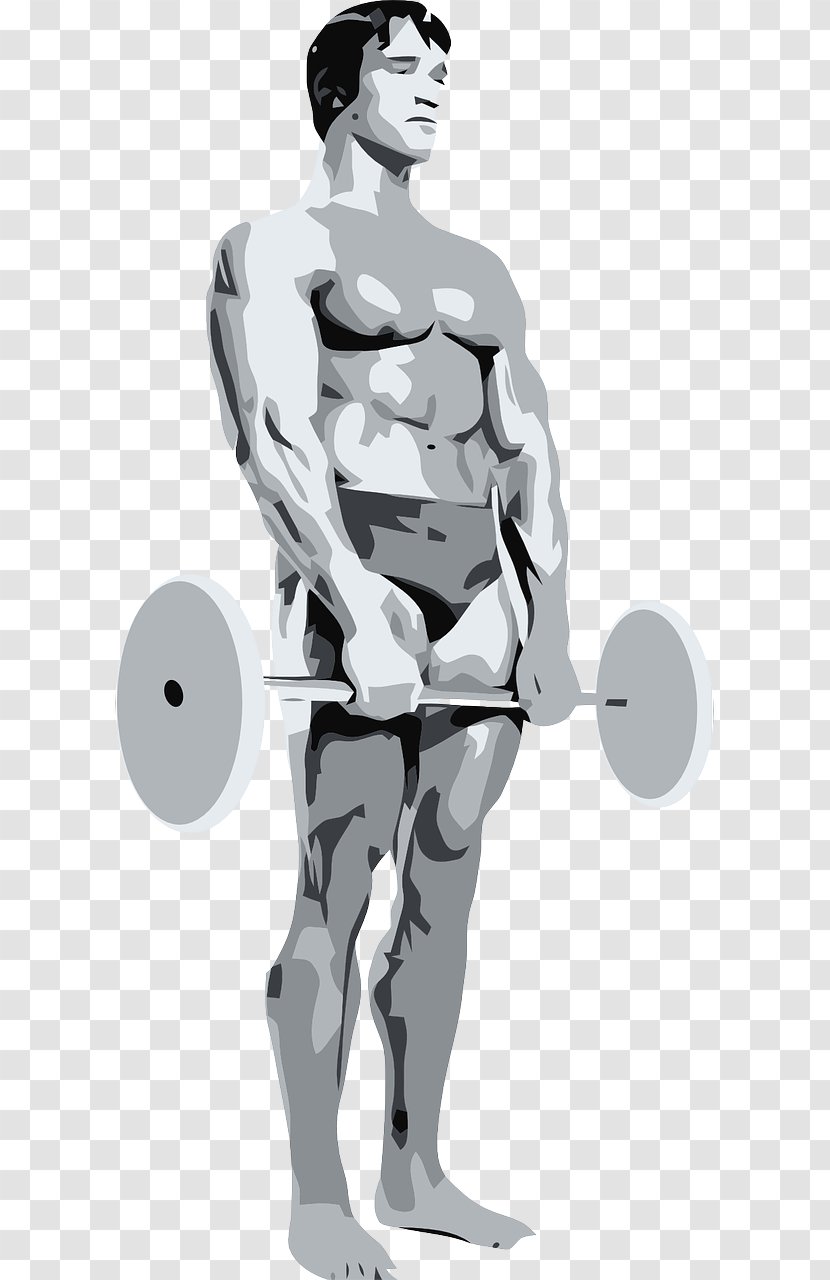 Arnold Schwarzenegger Female Bodybuilding - Watercolor Transparent PNG