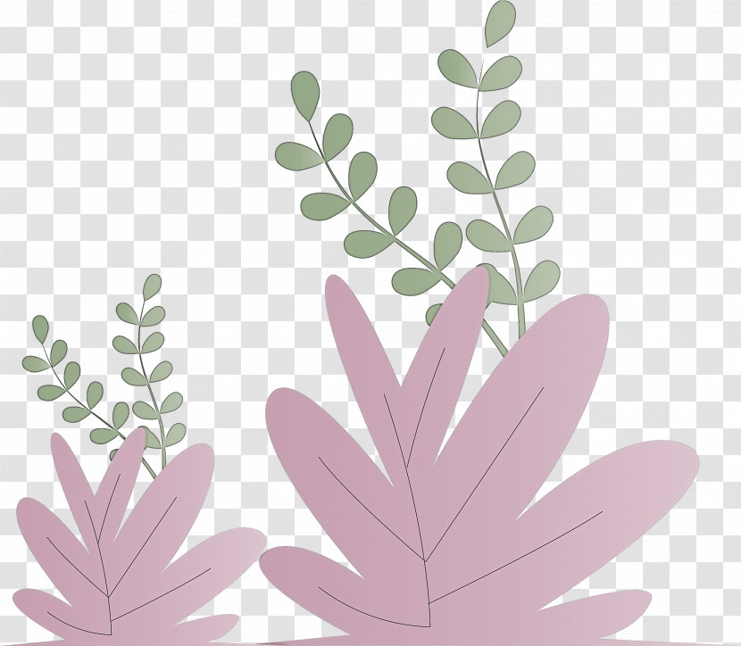 Grass Plant Transparent PNG