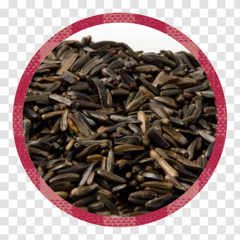 Bird Food Seed Niger Vegetarian Cuisine - Text Transparent PNG