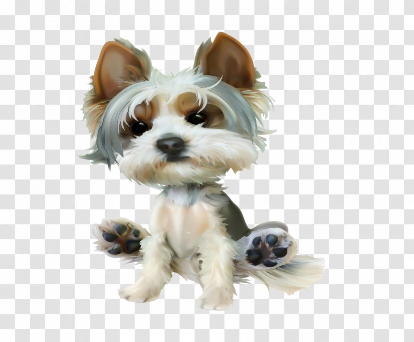 Yorkshire Terrier Puppy Morkie Vector Graphics Image - Shih Tzu - Big Dog Transparent PNG