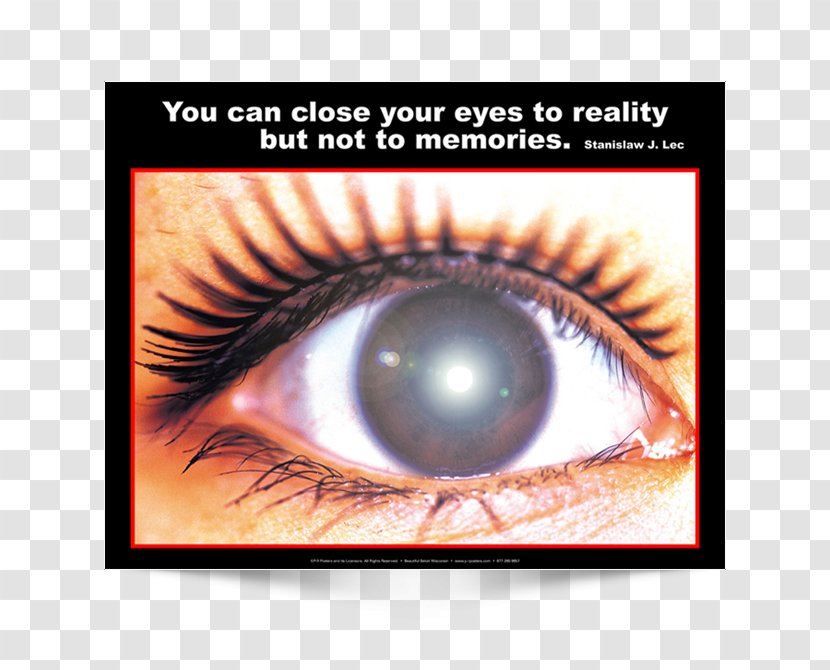 Melanopsin Eye Disease Cell Science - Flower - Close Your Eyes Transparent PNG