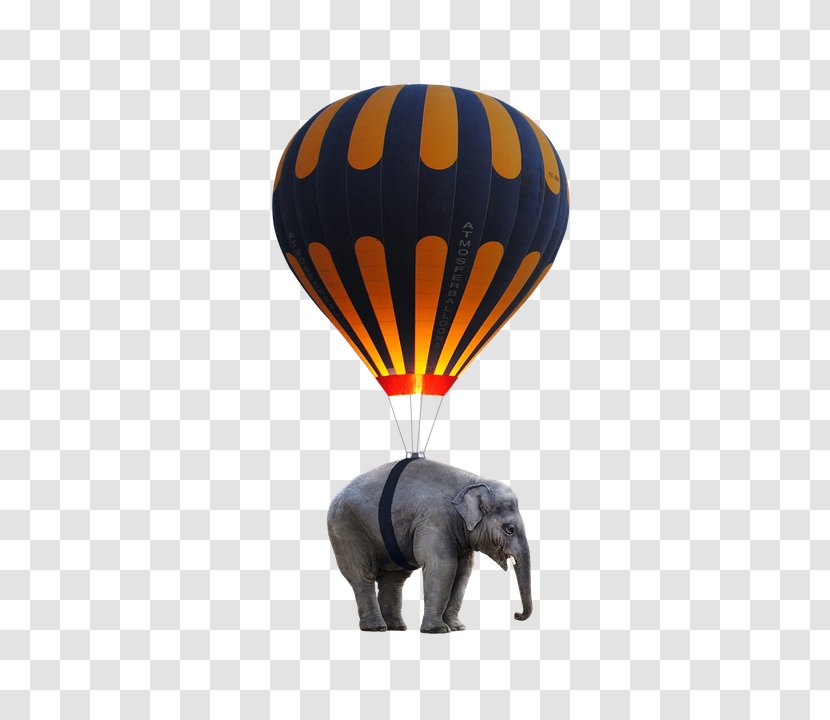 Hot Air Ballooning Elephants Toy Balloon Transparent PNG