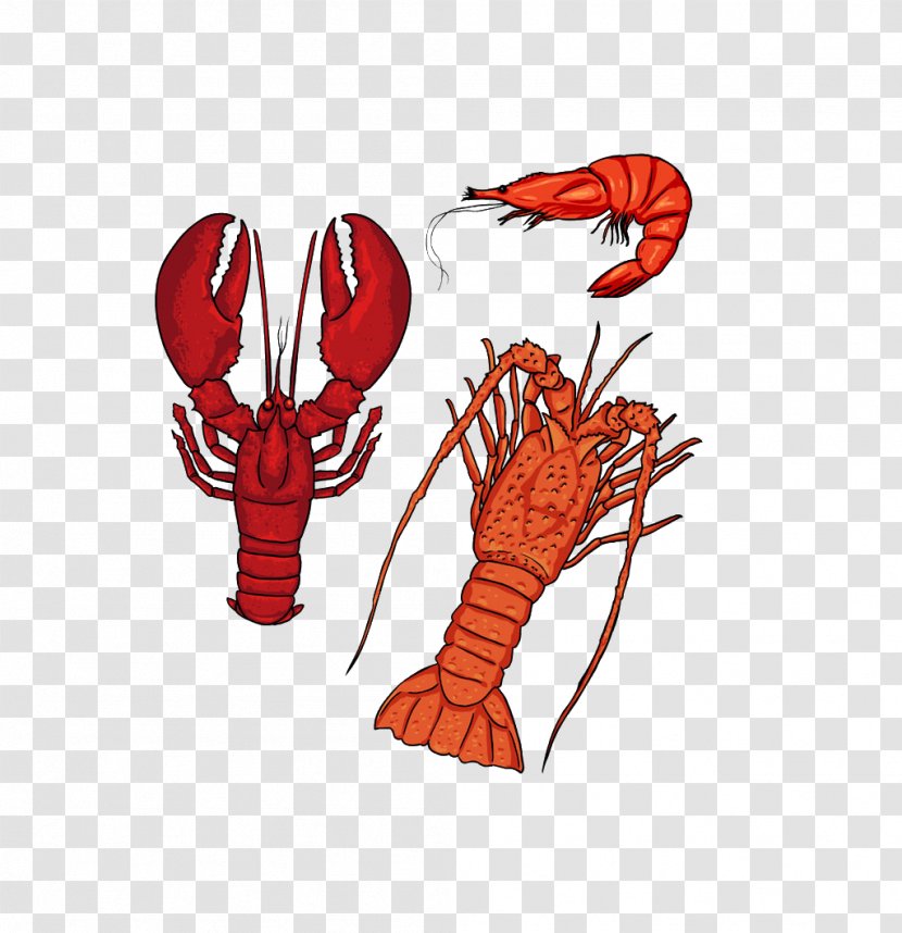 Seafood Lobster Silhouette Cartoon - Decapoda Transparent PNG