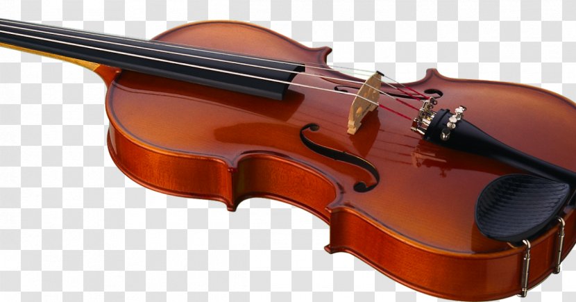 Violone Bass Violin Viola Fiddle - Watercolor Transparent PNG