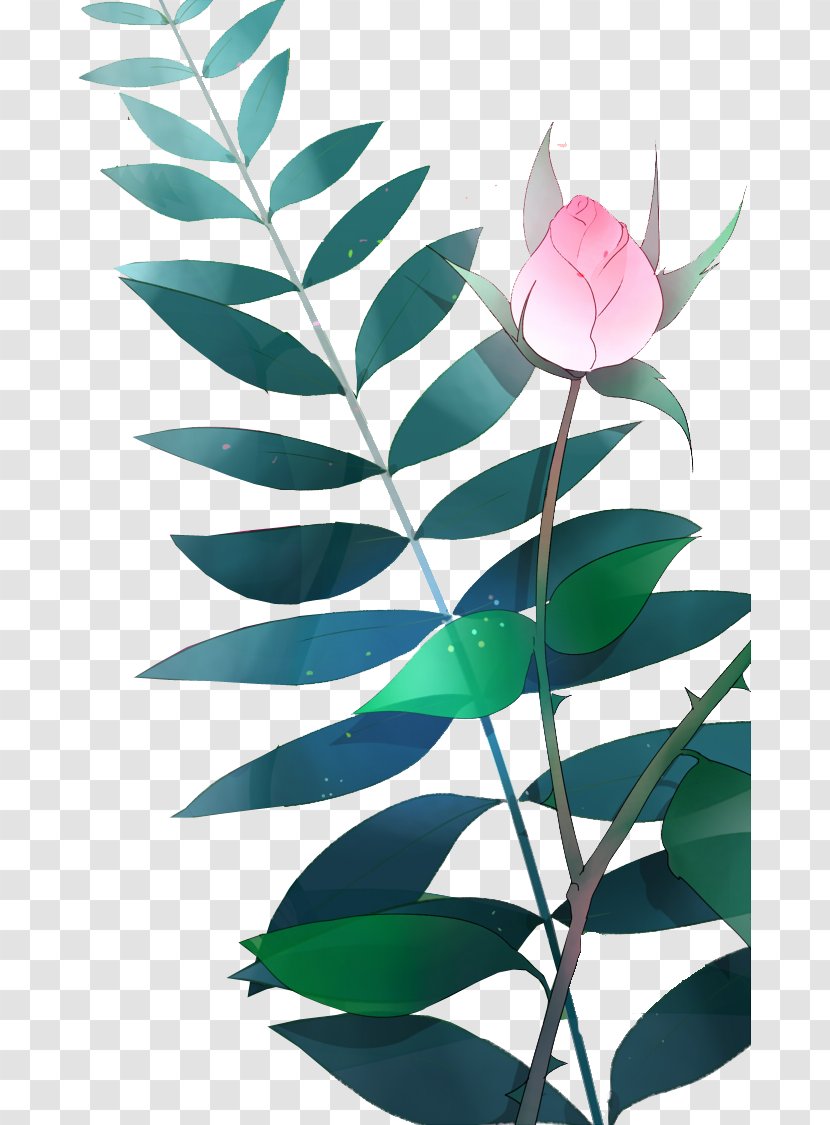 Watercolor Painting Youku Nelumbo Nucifera Icon - Drawing - Hand-painted Lotus Transparent PNG