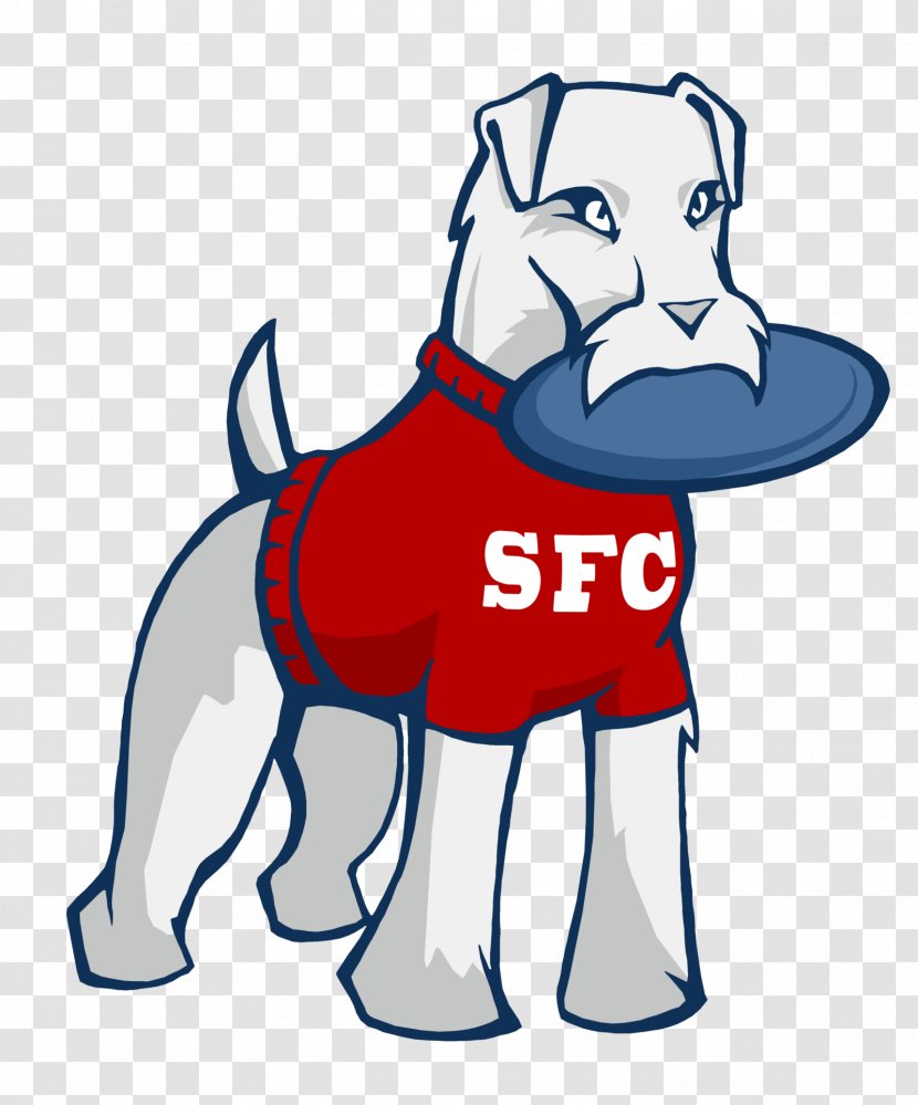 St. Francis College Clip Art St Brooklyn Terriers Men's Basketball Mascot Assisi - Carnivoran - Mascots Transparent PNG