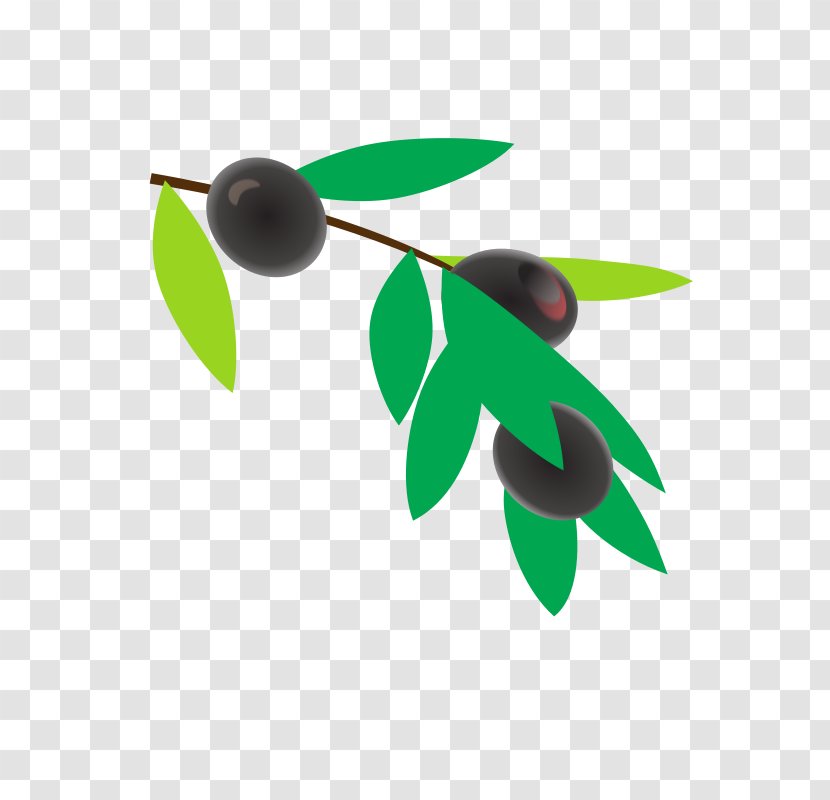 Coffee Coffea Plant Clip Art - Bean Transparent PNG