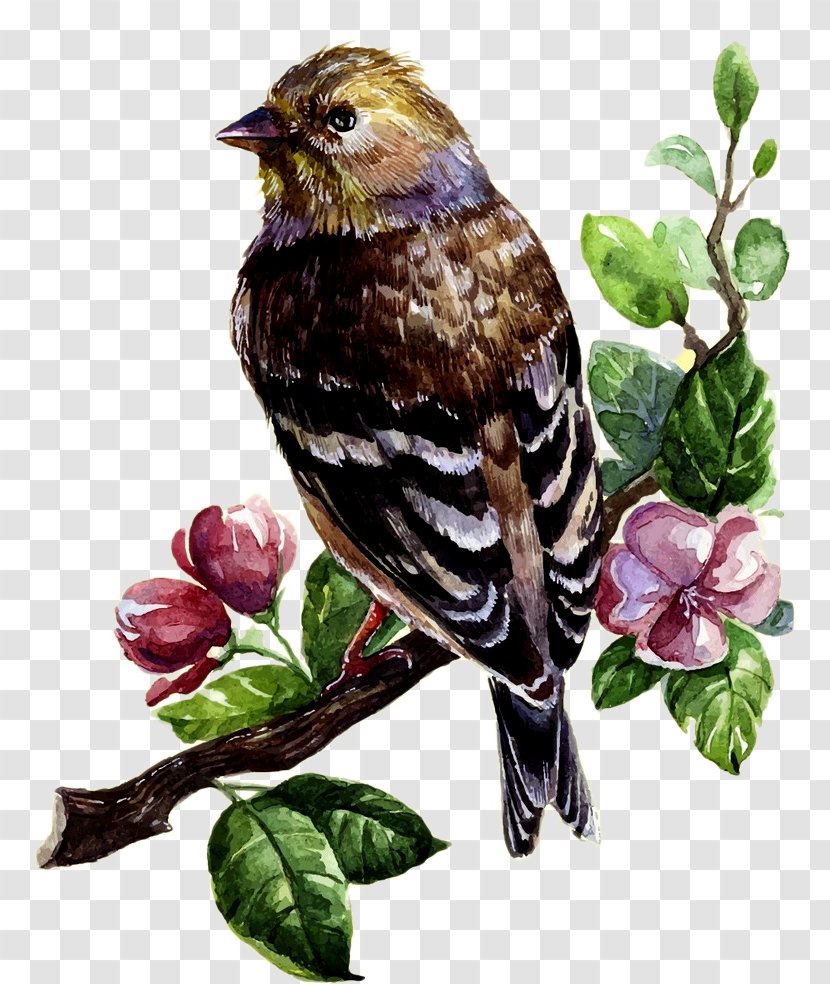 Bird Watercolor Painting Drawing Clip Art - Oil Deduction Material Transparent PNG