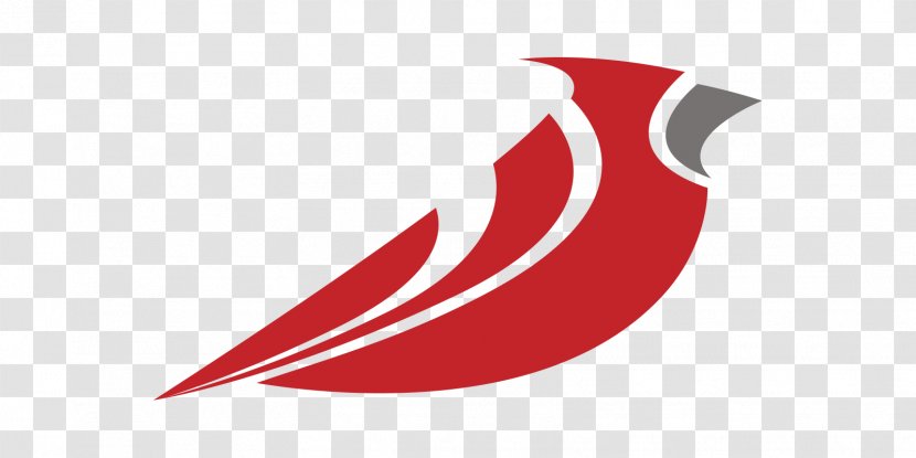 Bird Arizona Cardinals St. Louis Logo Northern Cardinal - Turkey Transparent PNG