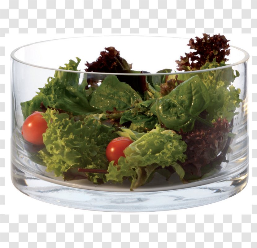Bowl Salad Glass Tableware Jug - Dinner Transparent PNG