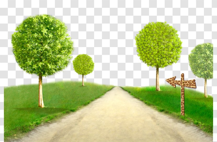 Tree - Landscape - Trees Creative Green Grass Transparent PNG