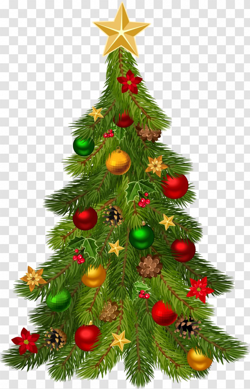Christmas Tree Ornament Clip Art - Pine Transparent PNG