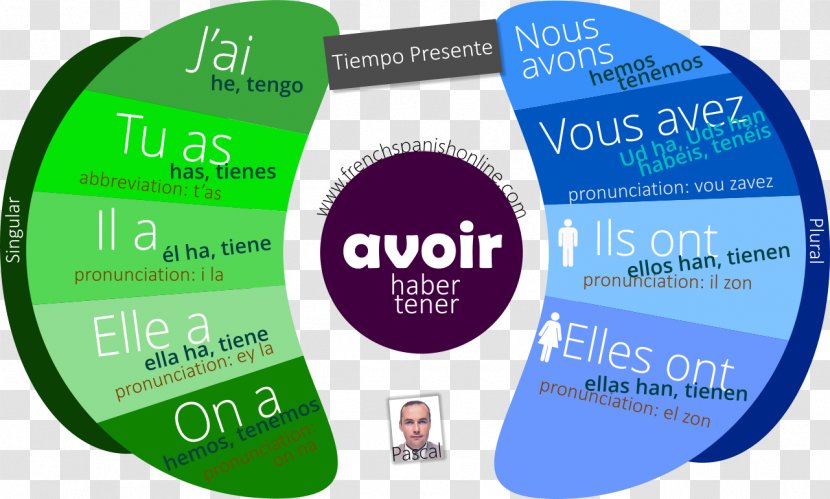 French Verbs Present Tense Passé Composé - Participle - Pascal Transparent PNG