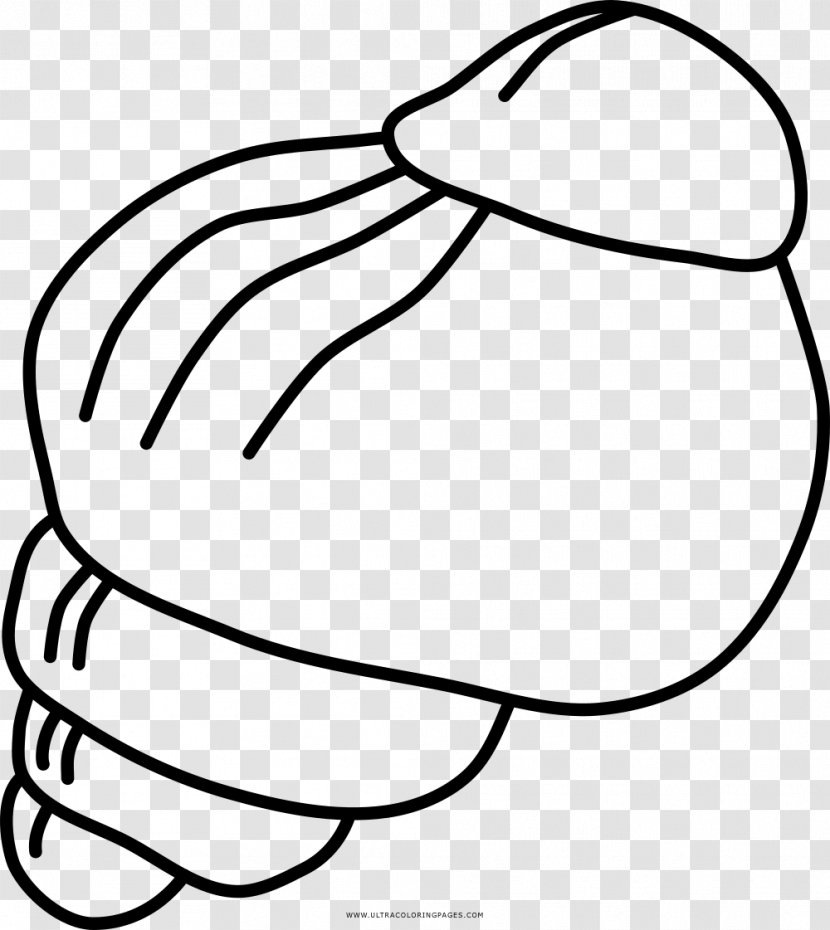 Gastropods Drawing Snail Caracola Coloring Book - Cartoon Transparent PNG