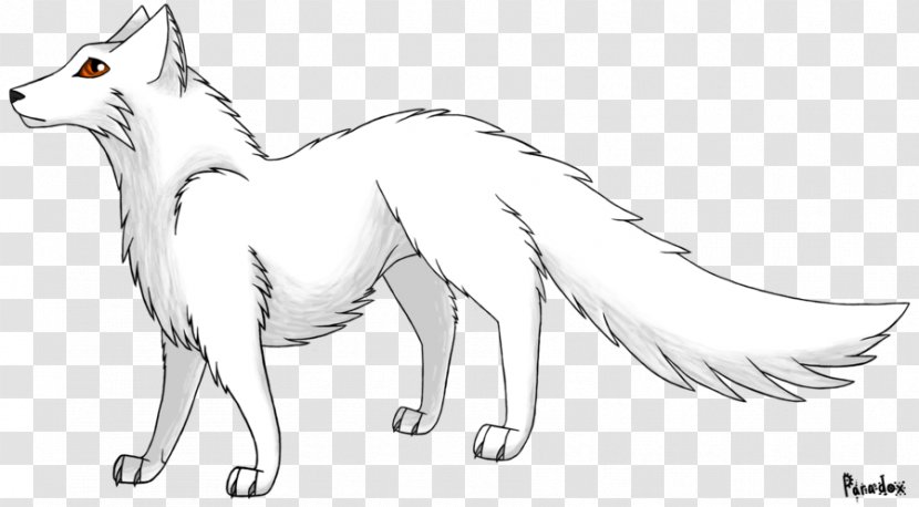 Arctic Fox Red Gray Wolf Line Art - Fauna Transparent PNG