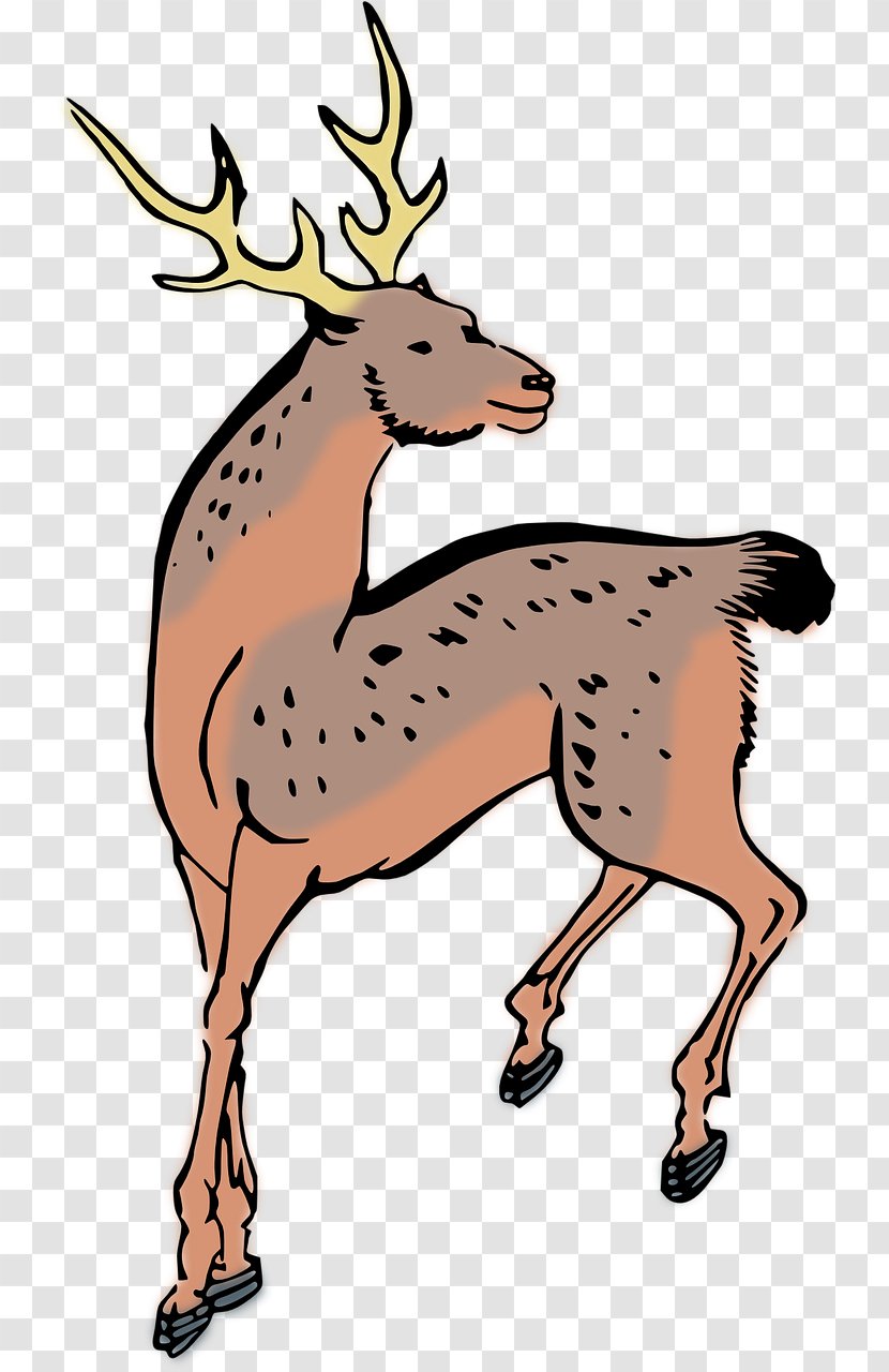 Deer Clip Art - Scalable Vector Graphics - Brown Transparent PNG