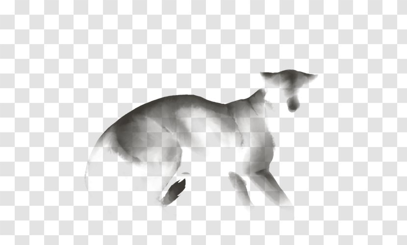Dog Breed Italian Greyhound Black Snout - Kangaroo Transparent PNG