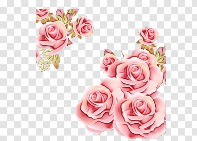 Watercolor Pink Flowers - M - Floristry Camellia Transparent PNG