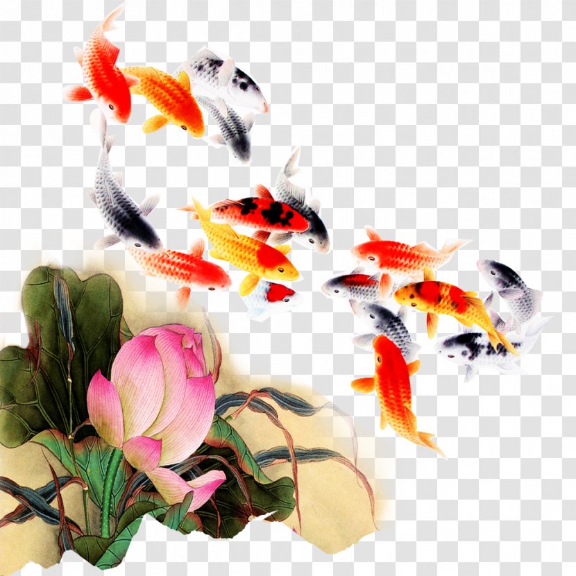 Koi Fish Computer File - Petal - Kam Lotus Transparent PNG