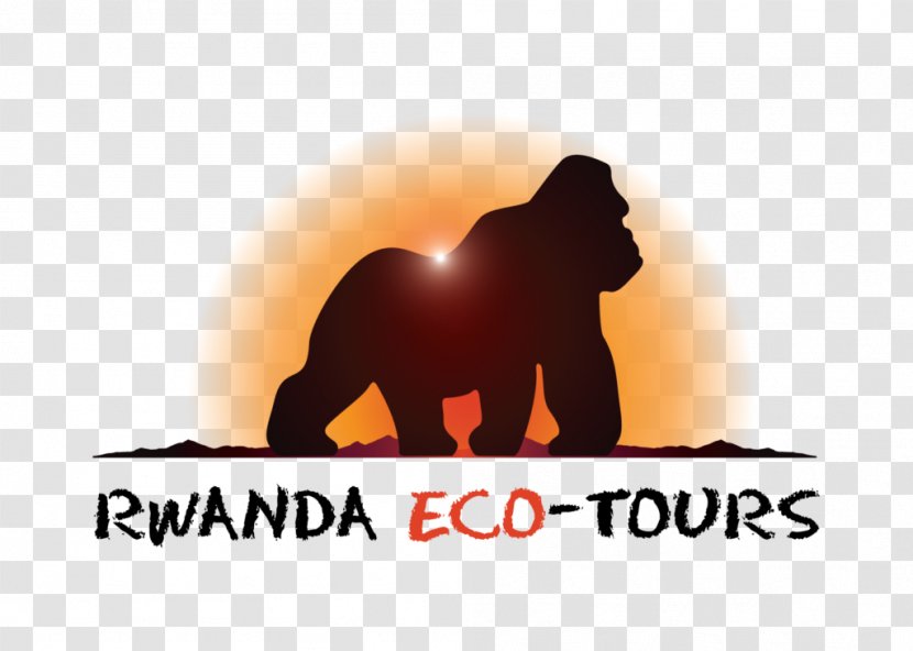 Rwanda Eco-Tours Travel Tourism Kigali Serena Hotel - Carnivoran Transparent PNG