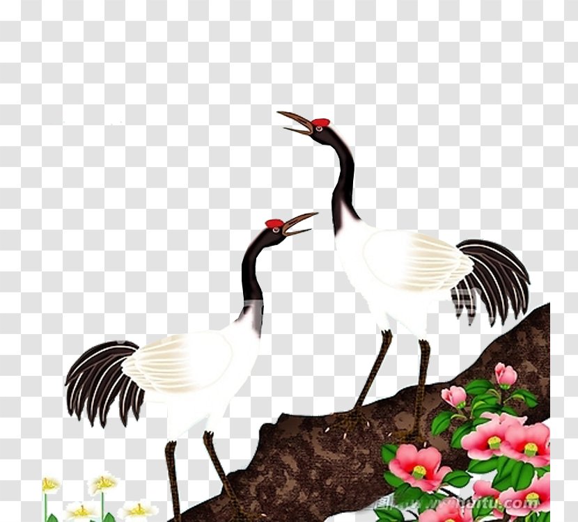 Red-crowned Crane Painting Bird Grey Crowned - Paint Transparent PNG