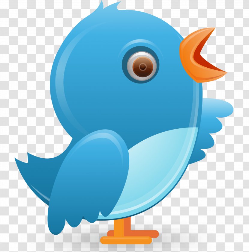 Social Media Communication To Ruin A Rake Information Blog - Fish - Twitter Transparent PNG