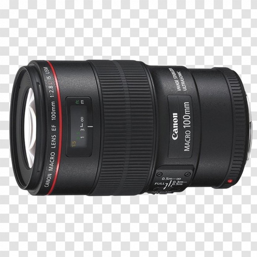 Canon EF 100mm Lens Mount 300mm EF-S 60mm F/2.8 Macro USM 17u201355mm - Mirrorless Interchangeable Camera - SLR Transparent PNG