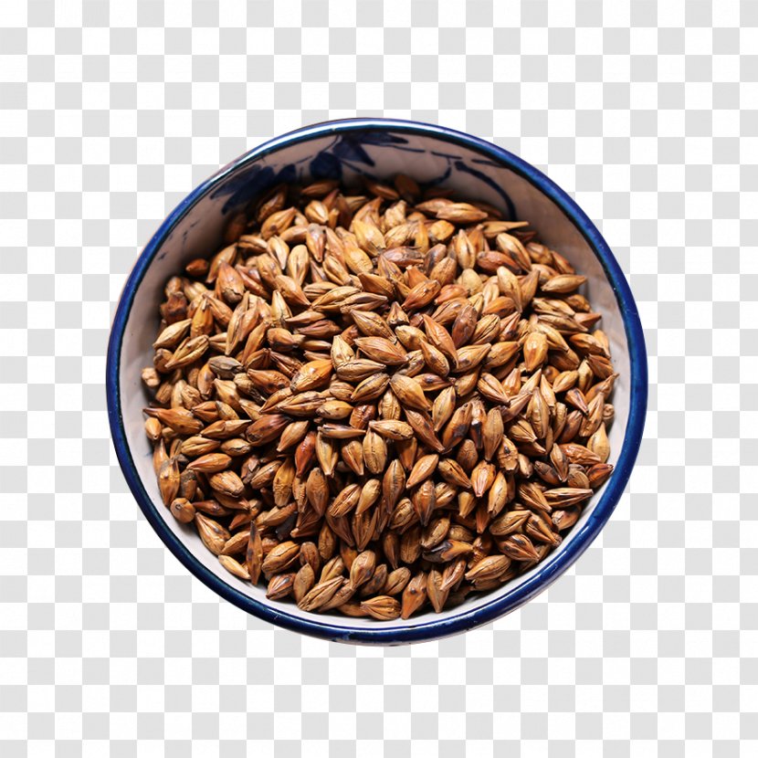 Oat Barley - Cereal - Grain Tea Transparent PNG