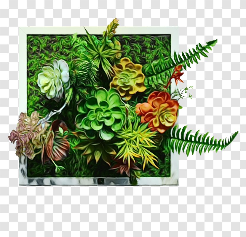 Green Leaf Background - Anthurium - Shrub Vascular Plant Transparent PNG