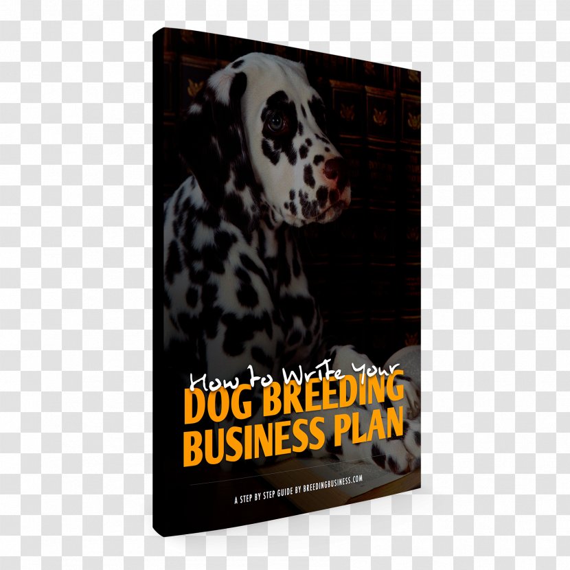 Dalmatian Dog Kennel Breeding Business Plan Puppy Transparent PNG