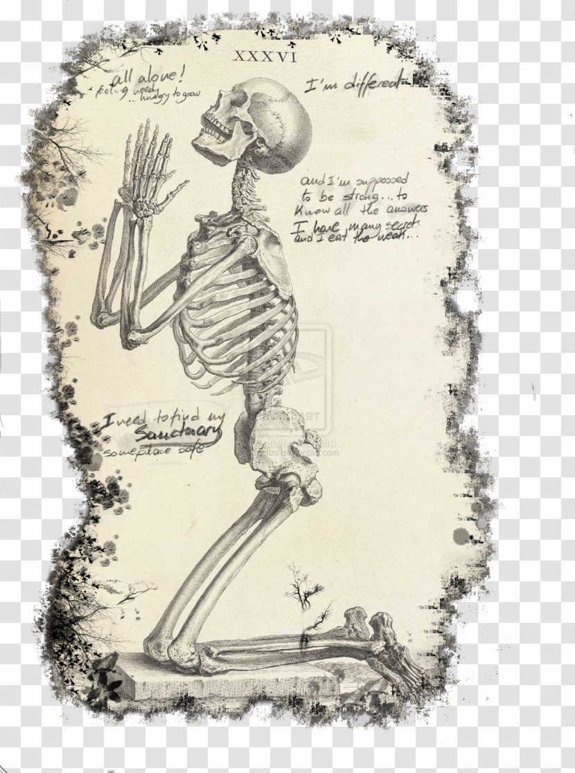 Praying Hands The Anatomy Of Human Body Skeleton Prayer - Flower Transparent PNG
