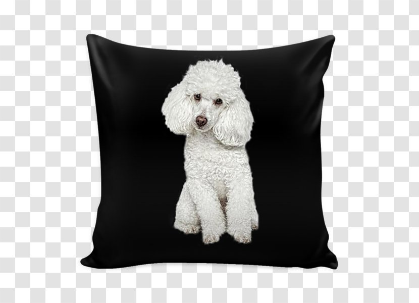Standard Poodle Dog Breed Pillow Water - Textile Transparent PNG