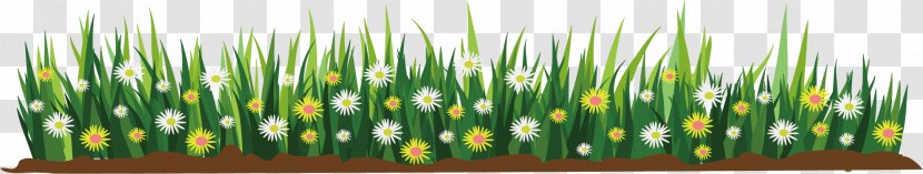 Flower Cartoon Illustration - Wheatgrass - Sketching Flat Transparent PNG
