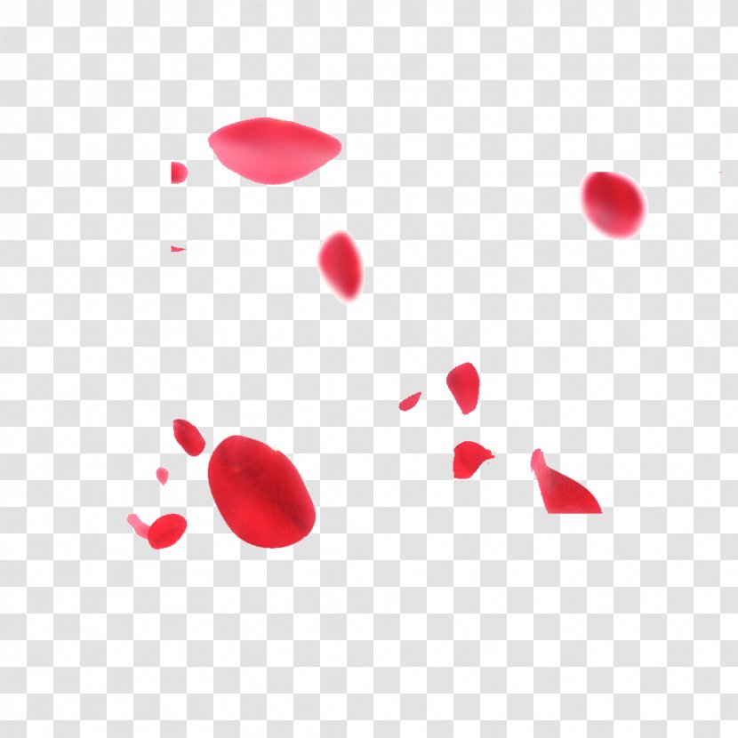 Petal Flower Clip Art Image Transparent PNG