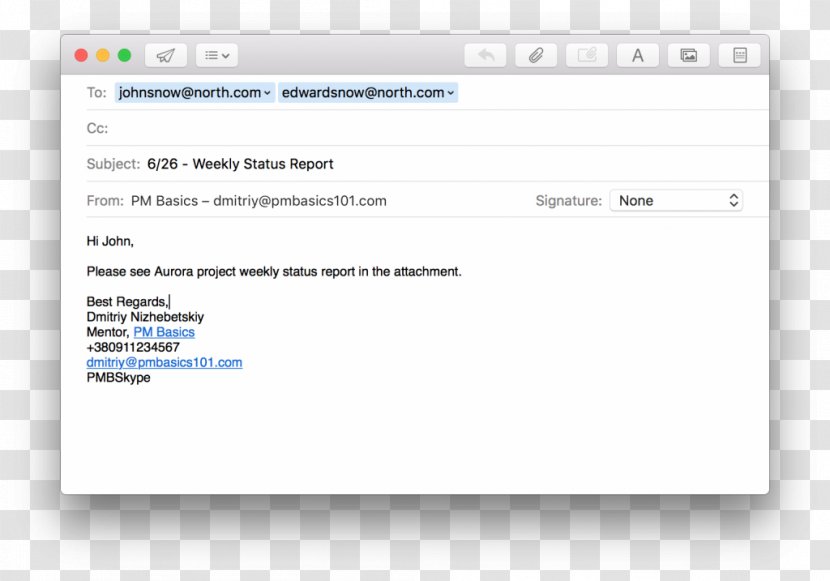 Email Screenshot Translation Apostrophe Copy Editing - Project Report Transparent PNG