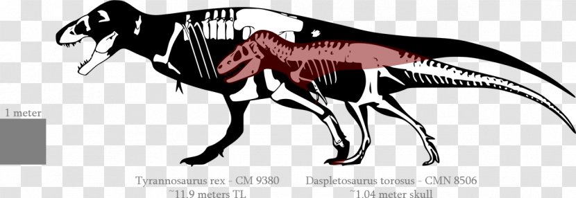 Tyrannosaurus Nanotyrannus Giganotosaurus Spinosaurus Triceratops - Mythical Creature - Jurassic World Evolution Allosaurus Transparent PNG