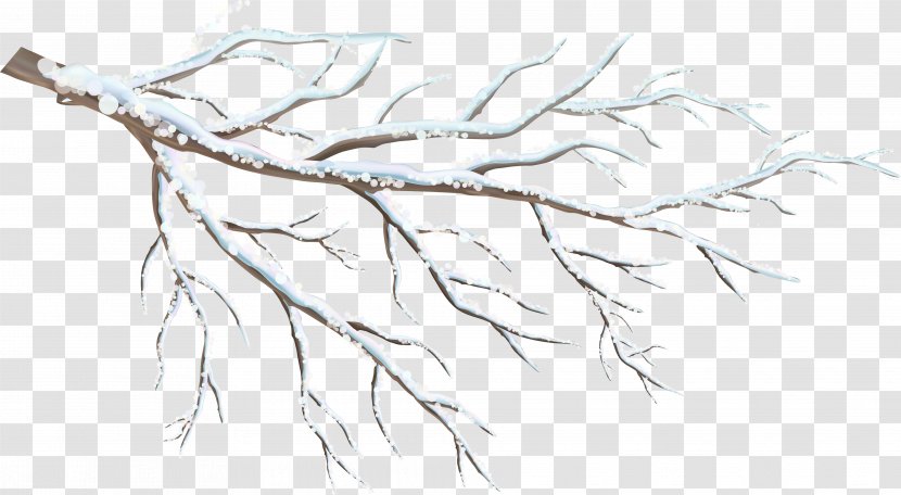 Information Clip Art - White - Snow Branches Transparent PNG