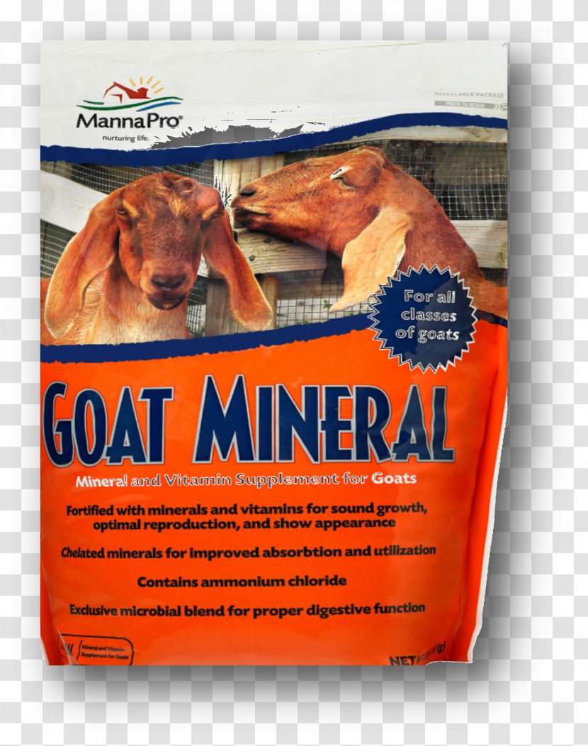 Sheep–goat Hybrid Mineral Dietary Supplement - Goat Transparent PNG