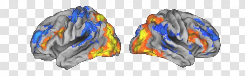 Helen Wills Neuroscience Institute Brain Neurotechnology Research Centers And Laboratories At The University Of California, Berkeley - Flower Transparent PNG