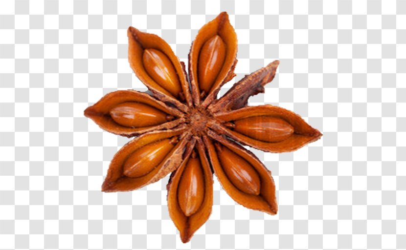 Star Anise Stock Photography Transparent PNG