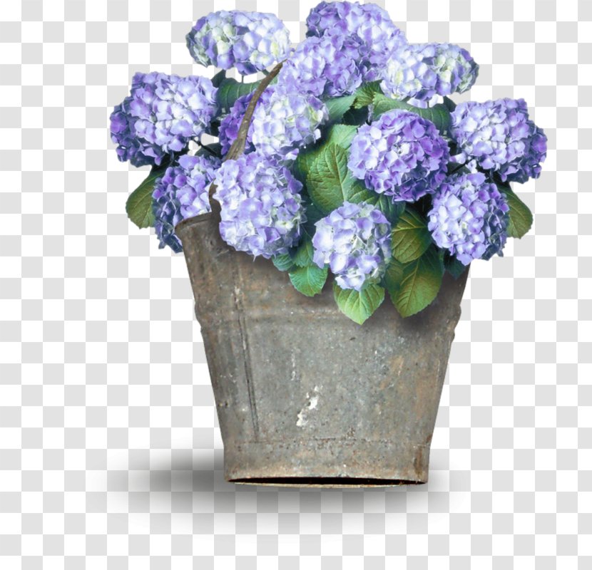 Hydrangea Cut Flowers Floral Design Flowerpot - Flower Transparent PNG