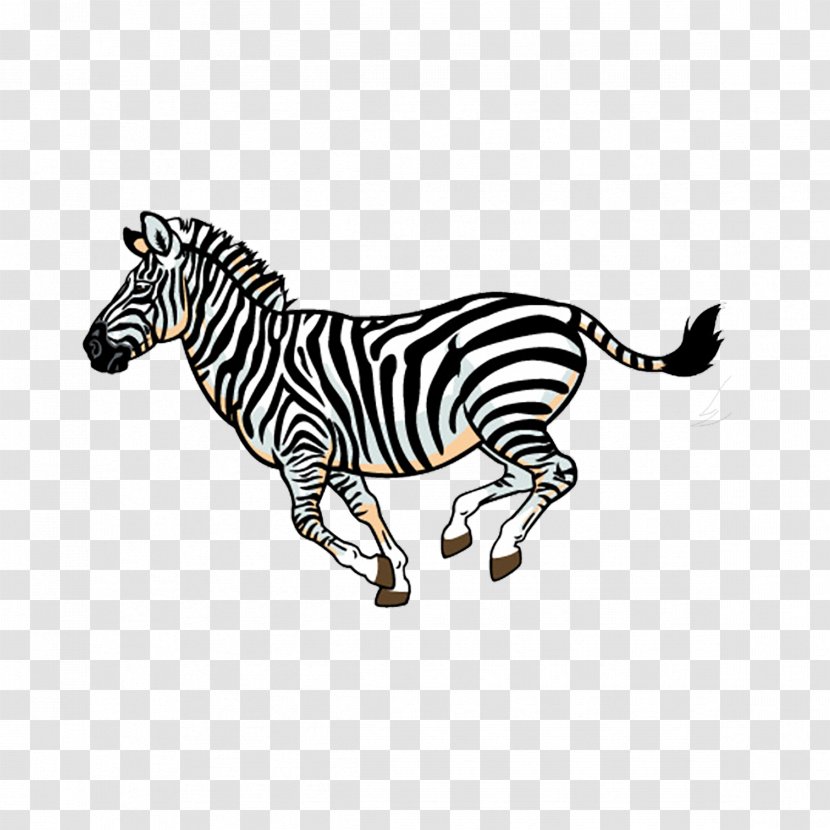 Wildlife Lion Full-Color Animal Illustrations Fauna Of Africa Clip Art - Zebra Transparent PNG