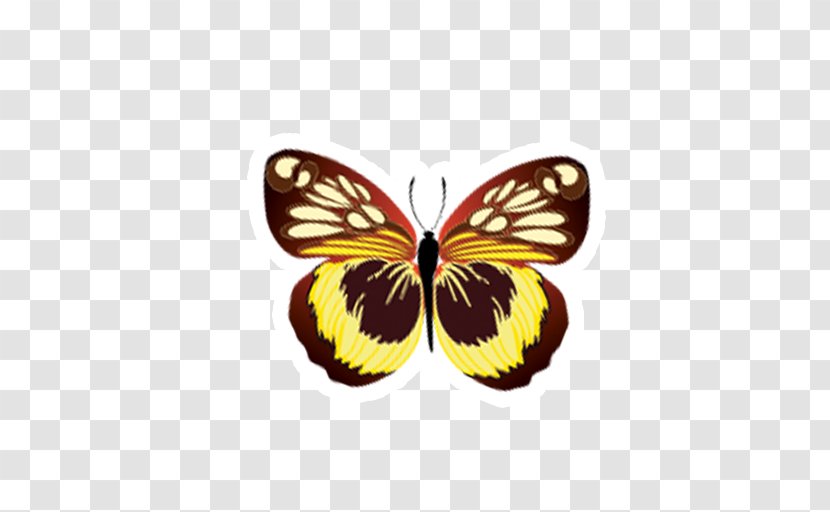 Monarch Butterfly Drawing - Brush Footed - Zuchini Transparent PNG