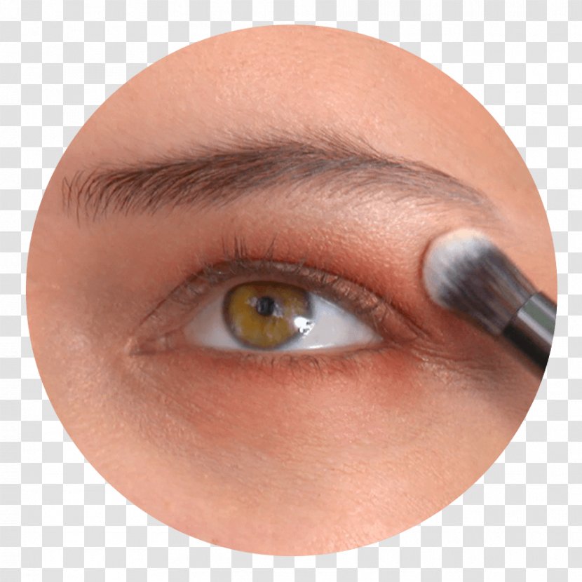 Eyelash Extensions Eye Shadow Close-up - Fuk Upper And Lower Ends Shading Transparent PNG