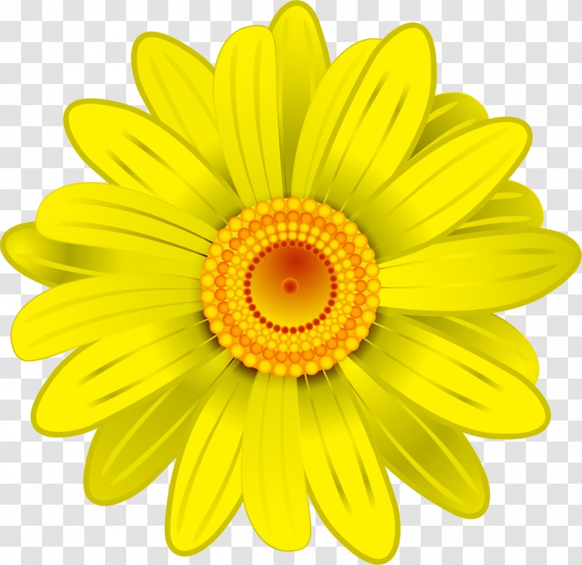 Flower Transvaal Daisy Yellow Clip Art - Oxeye - Hand Painted Chrysanthemum Transparent PNG